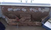 Termite Damage